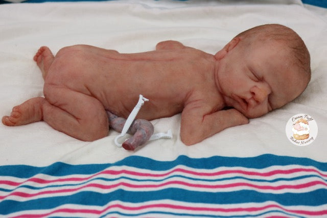 Reborn Silicone Preemie Baby Boy Doll Fetus Memorial Baby