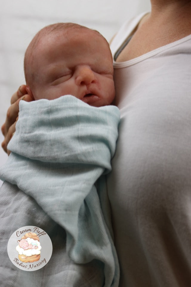 Reborn Silicone Preemie Baby Boy Doll Fetus Memorial Baby
