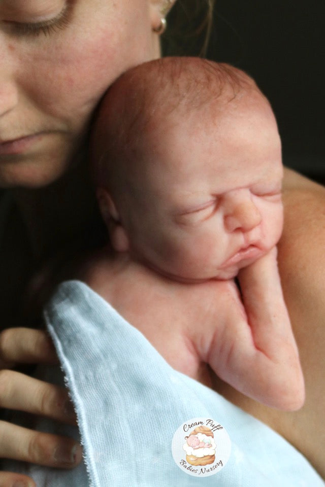 Reborn Silicone Preemie Baby Boy Doll Fetus Memorial Baby