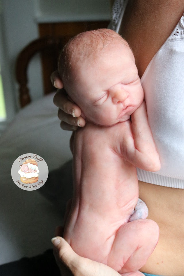 Reborn Silicone Preemie Baby Boy Doll Fetus Memorial Baby
