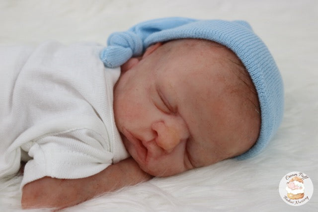 Reborn Silicone Preemie Baby Boy Doll Fetus Memorial Baby