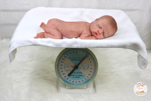 Reborn Silicone Preemie Baby Boy Doll Fetus Memorial Baby