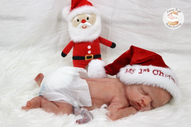 Reborn Silicone Preemie Baby Boy Doll Fetus Memorial Baby