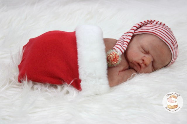Reborn Silicone Preemie Baby Boy Doll Fetus Memorial Baby