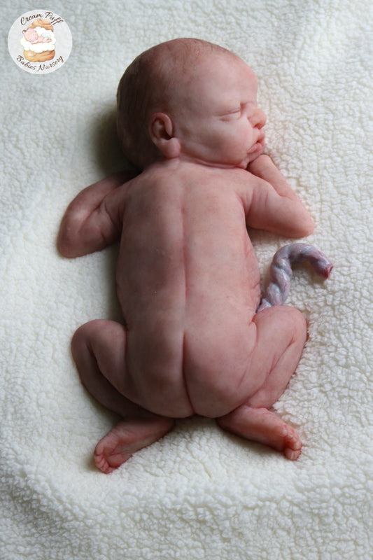 Reborn Silicone Preemie Baby Boy Doll Fetus Memorial Baby