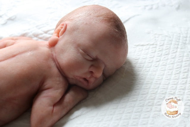 Reborn Silicone Preemie Baby Boy Doll Fetus Memorial Baby