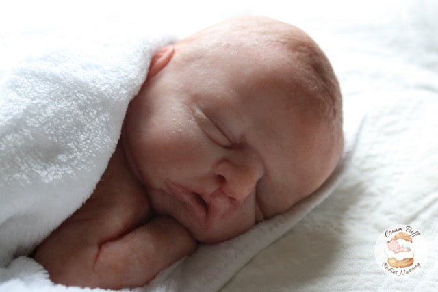 Reborn Silicone Preemie Baby Boy Doll Fetus Memorial Baby