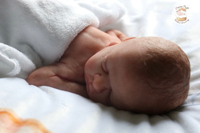Reborn Silicone Preemie Baby Boy Doll Fetus Memorial Baby