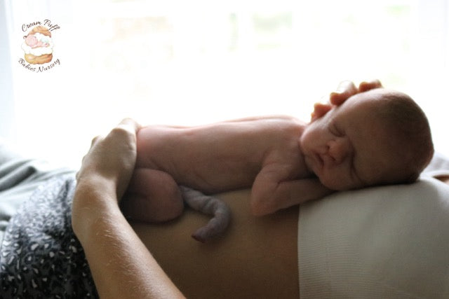 Reborn Silicone Preemie Baby Boy Doll Fetus Memorial Baby