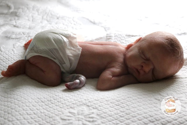 Reborn Silicone Preemie Baby Boy Doll Fetus Memorial Baby