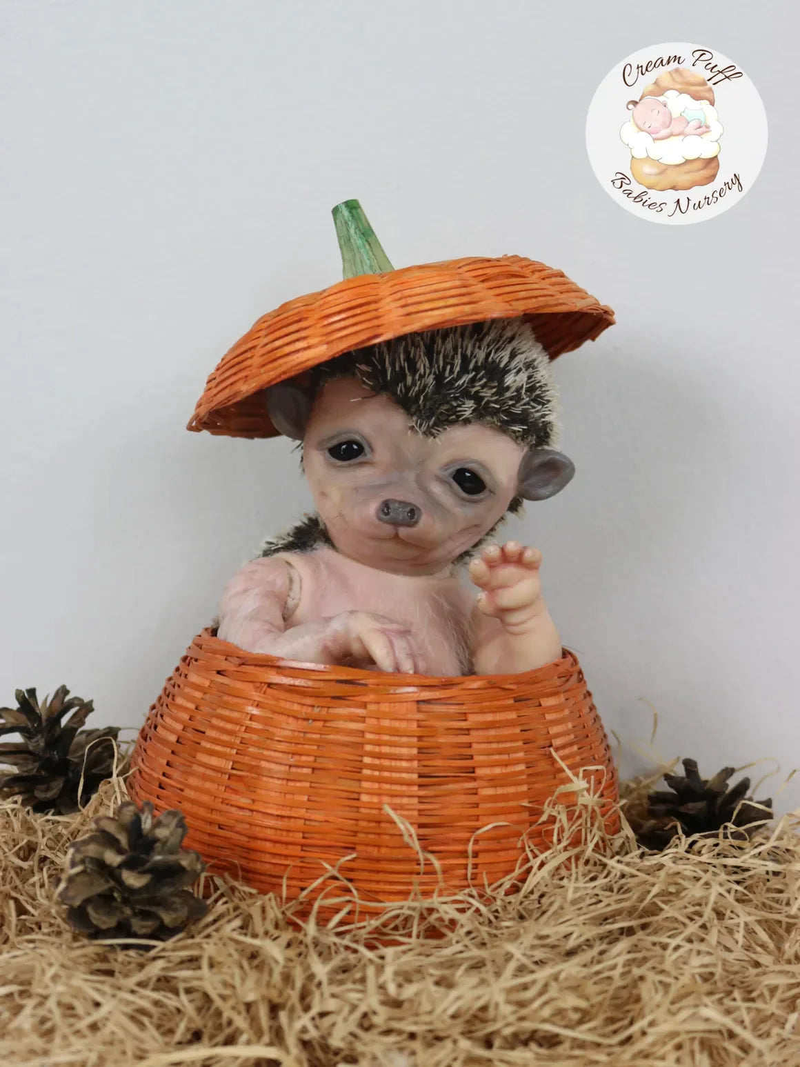 Adoptable Hans the Hedgehog