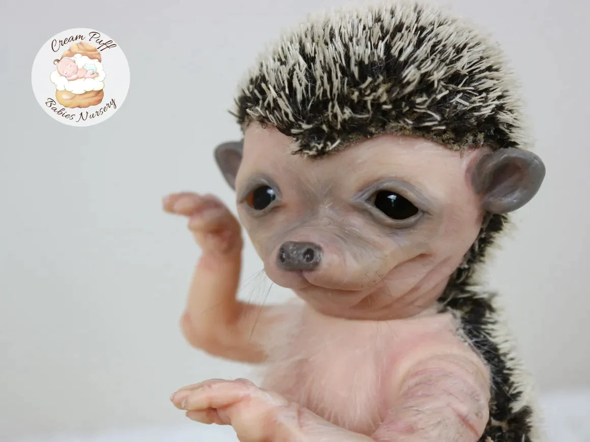 Adoptable Hans the Hedgehog