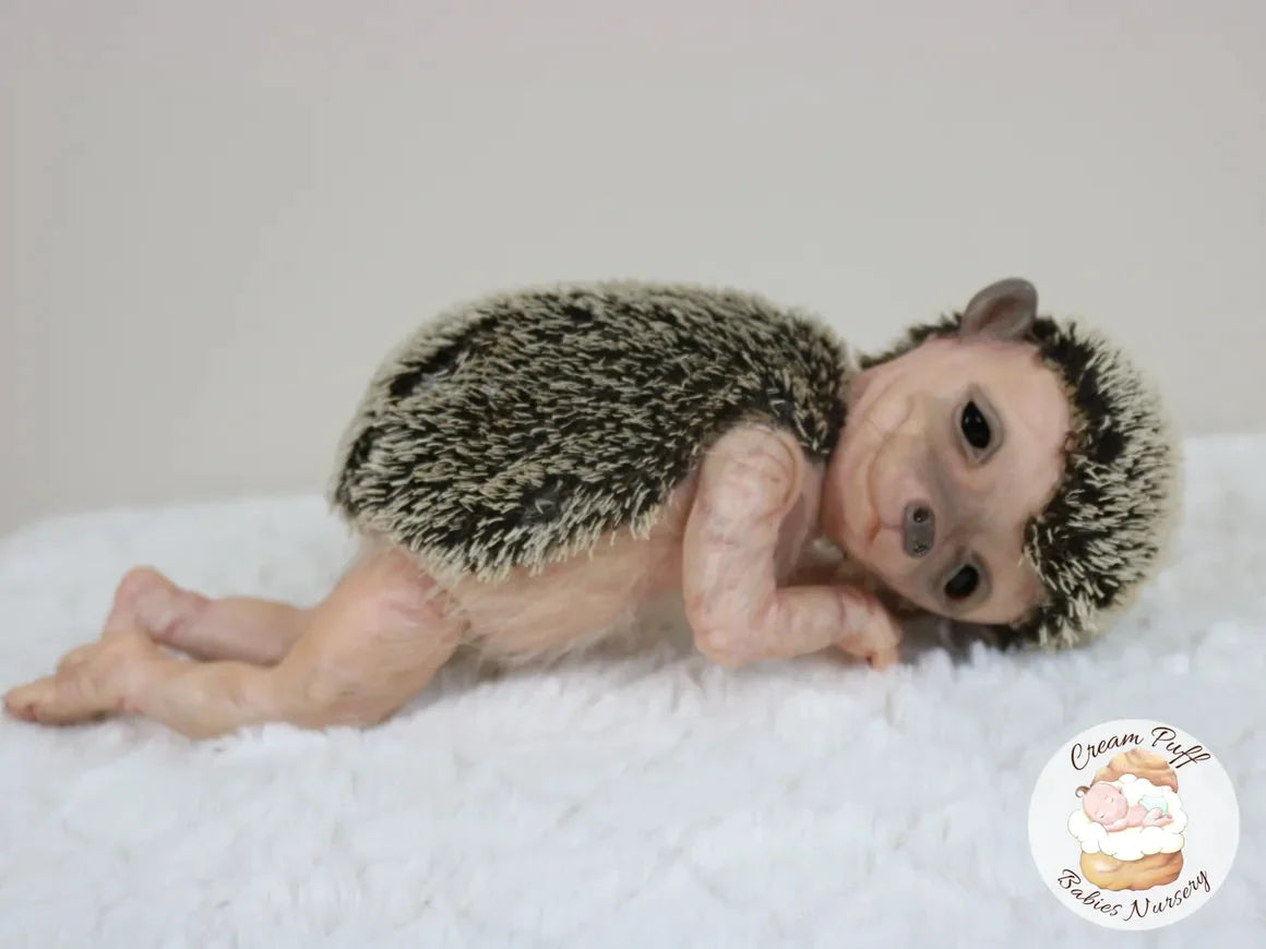 Adoptable Hans the Hedgehog