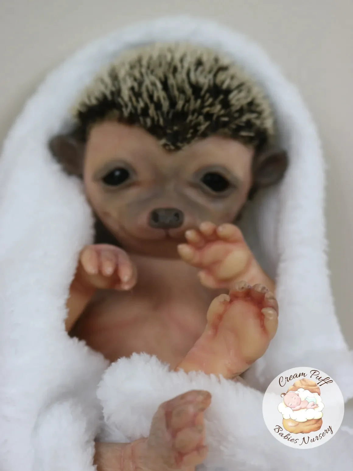 Adoptable Hans the Hedgehog