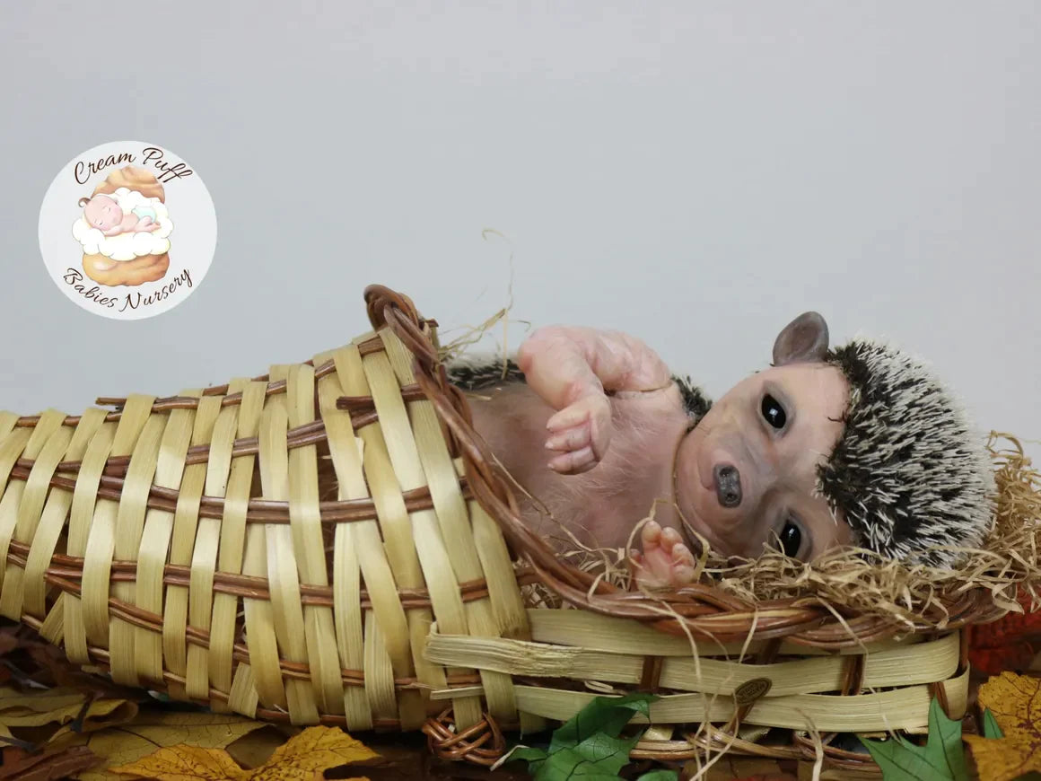 Adoptable Hans the Hedgehog