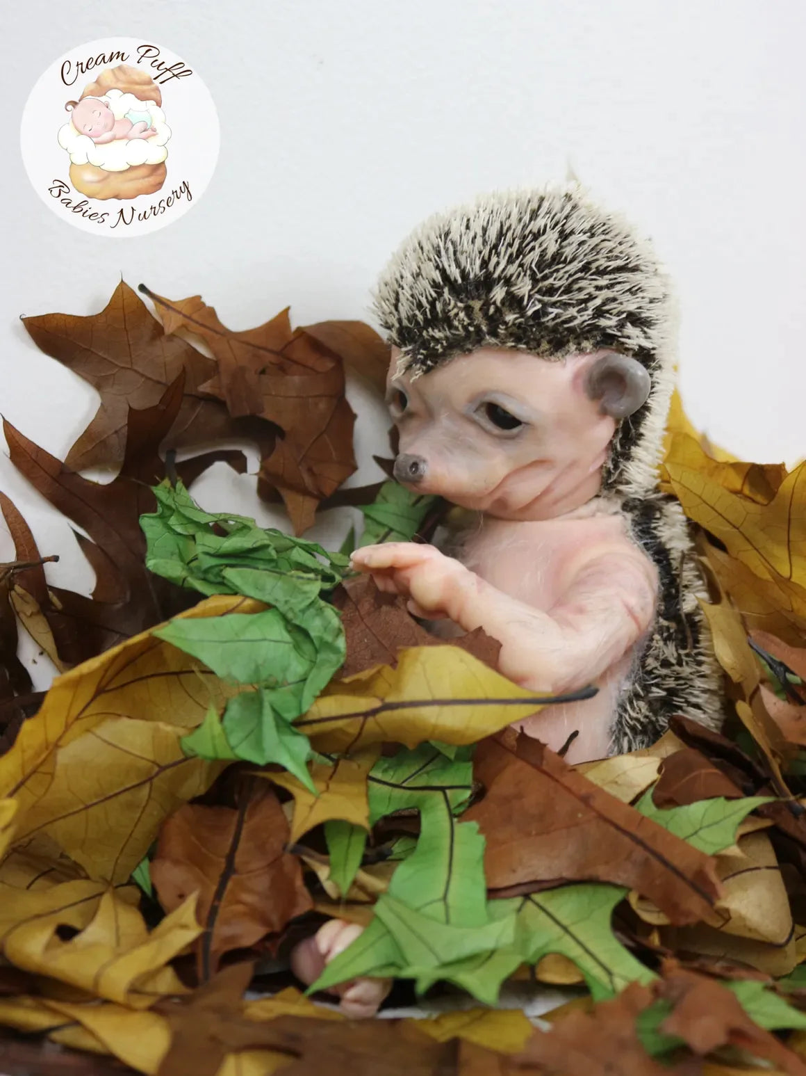 Adoptable Hans the Hedgehog