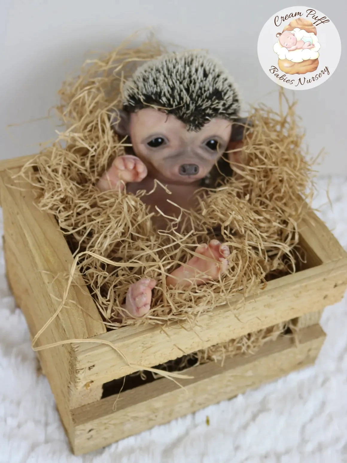 Adoptable Hans the Hedgehog