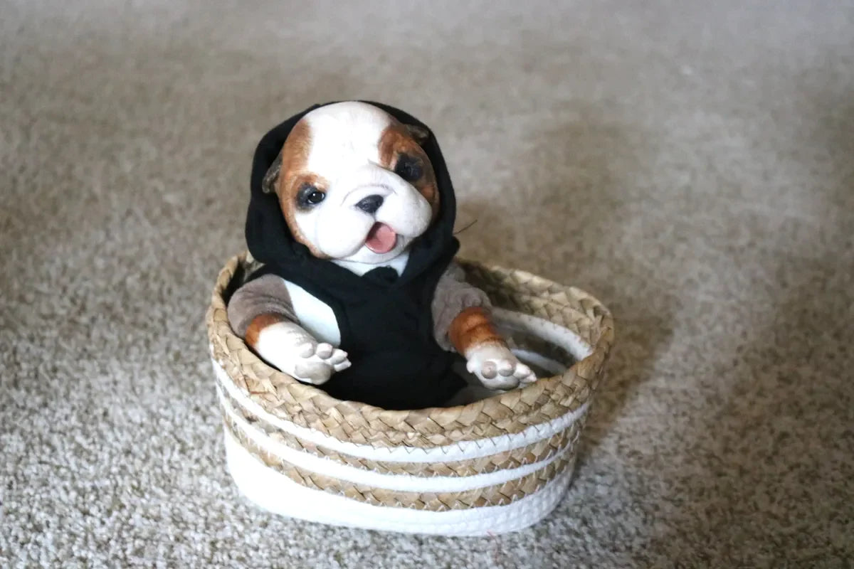 Baby Bulldog Bruce