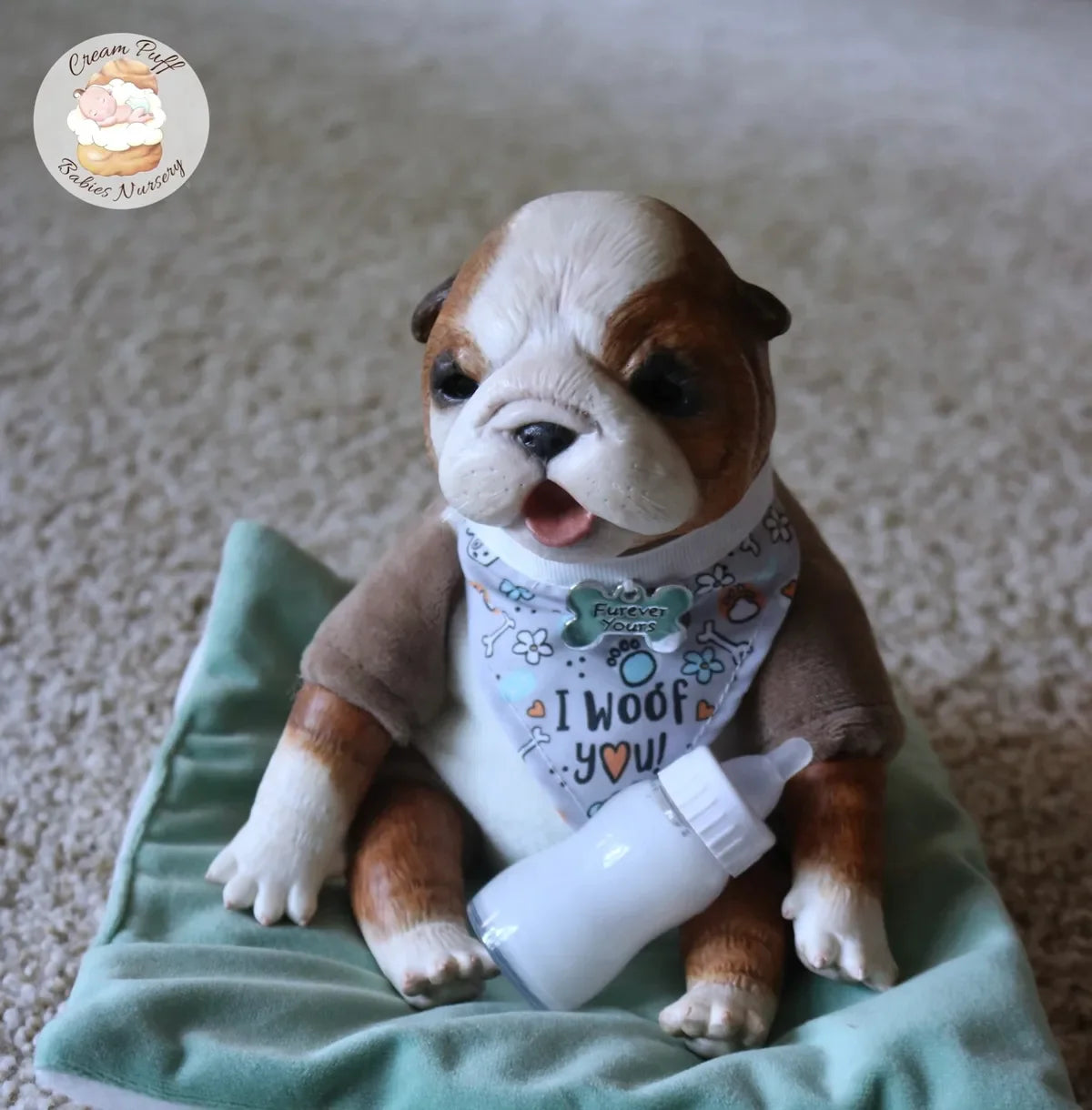 Baby Bulldog Bruce