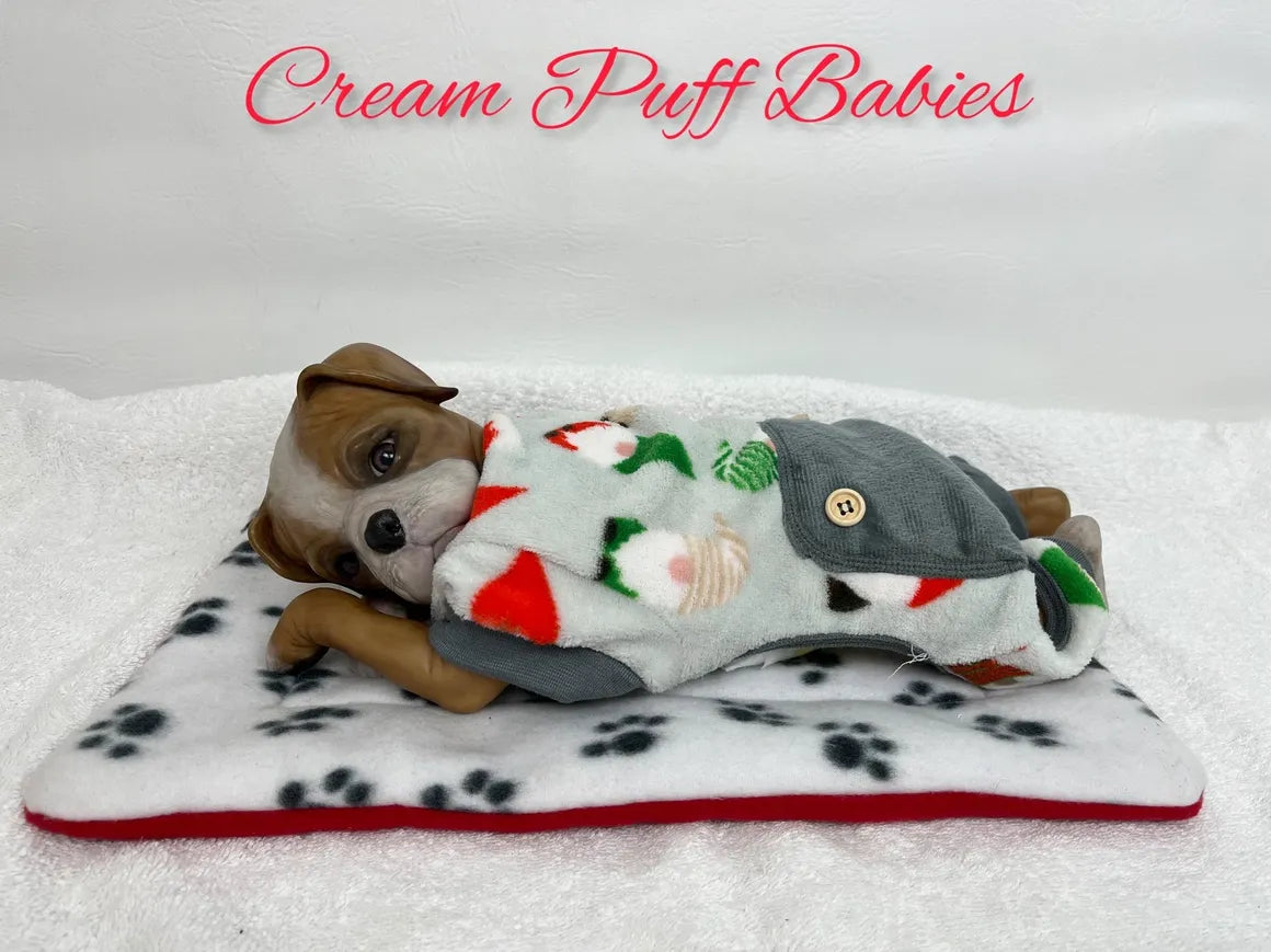 Boxer Puppy Bruno