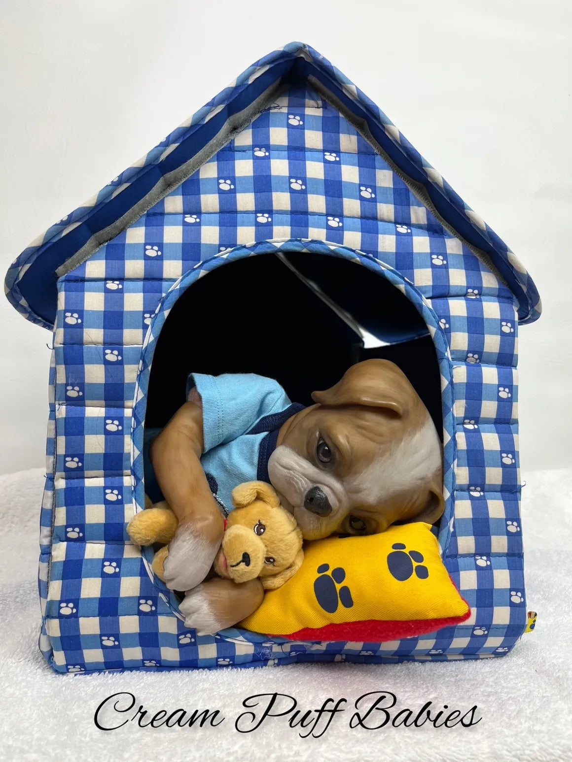 Boxer Puppy Bruno