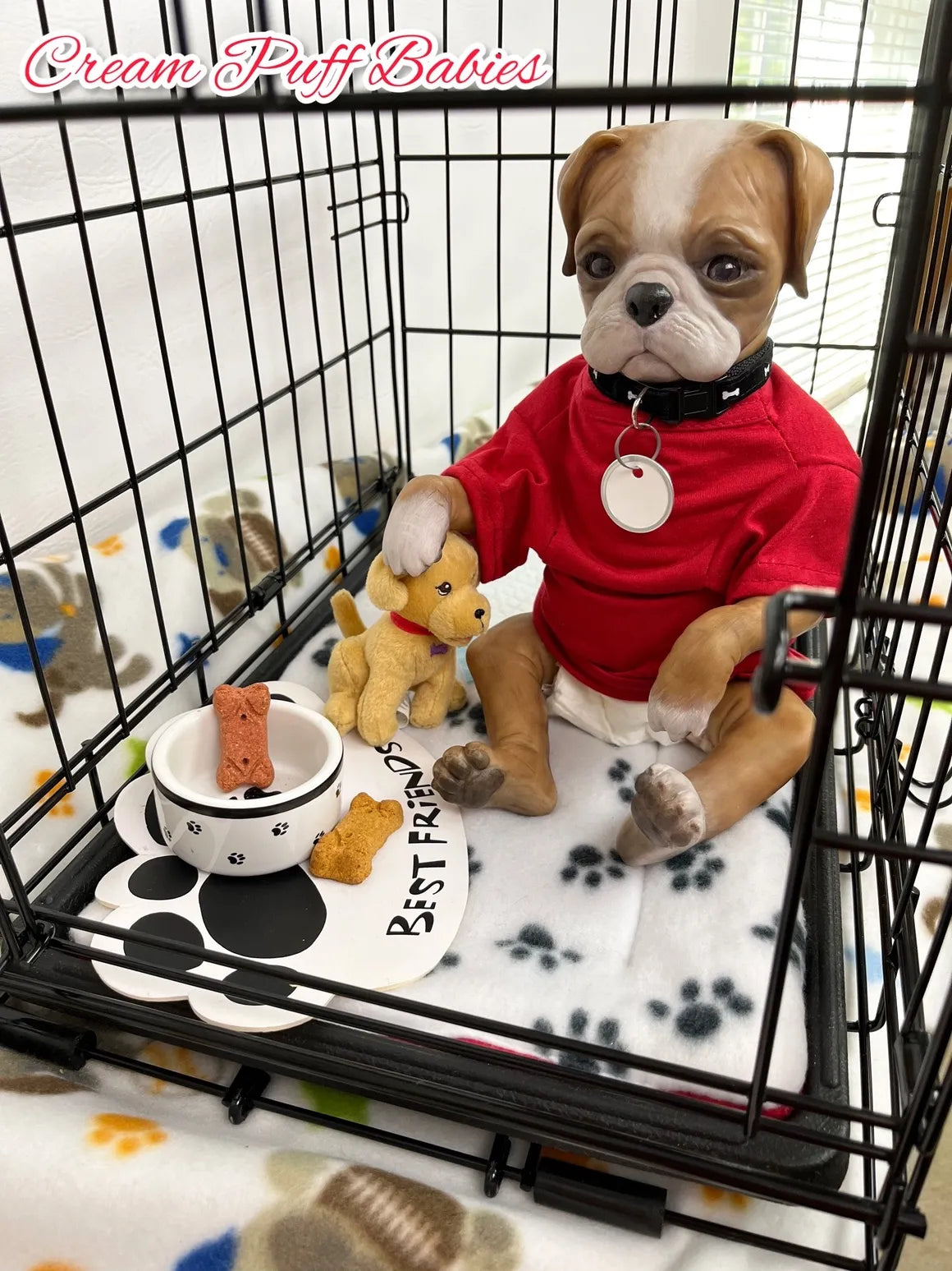Boxer Puppy Bruno