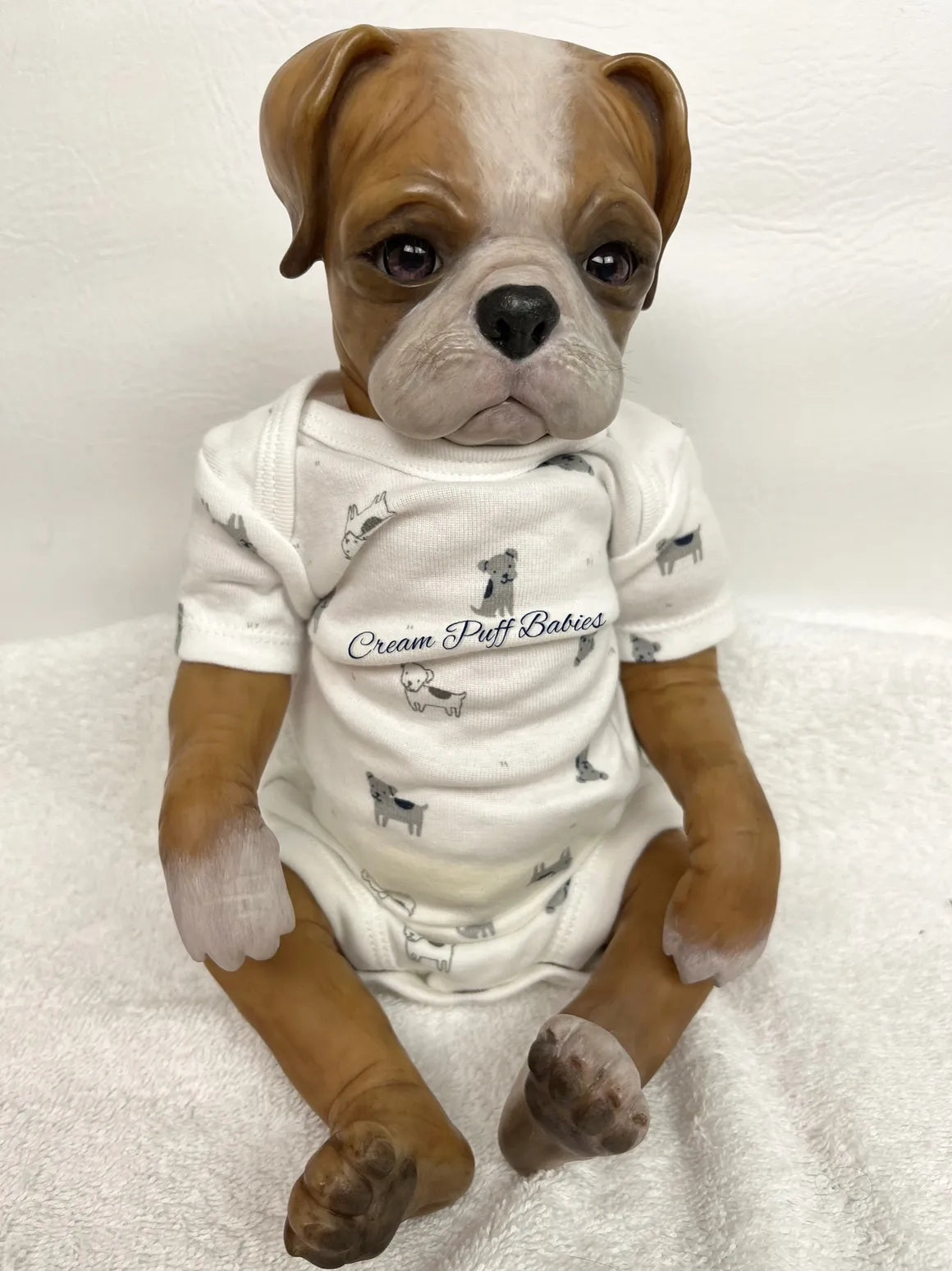 Boxer Puppy Bruno