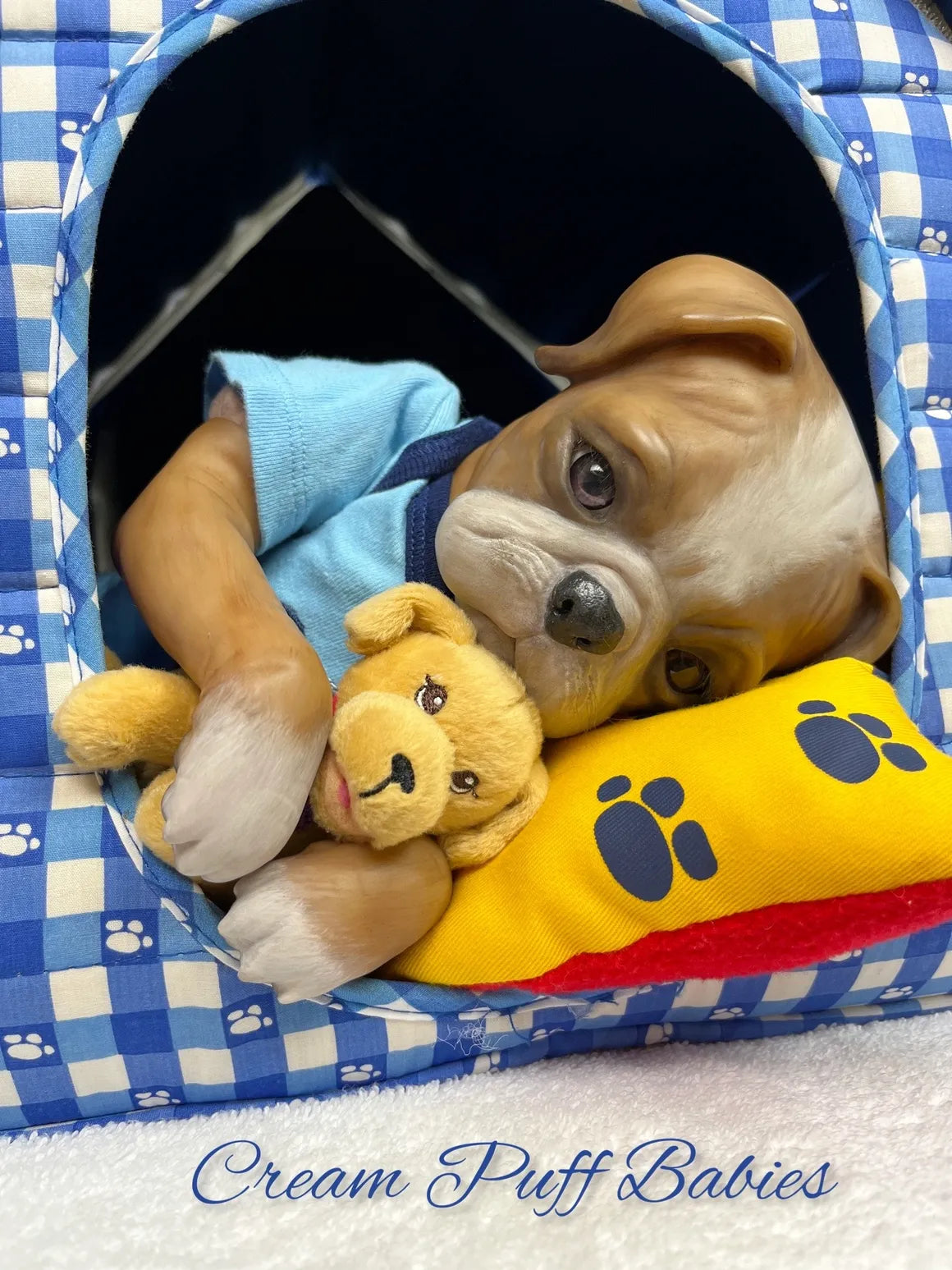 Boxer Puppy Bruno