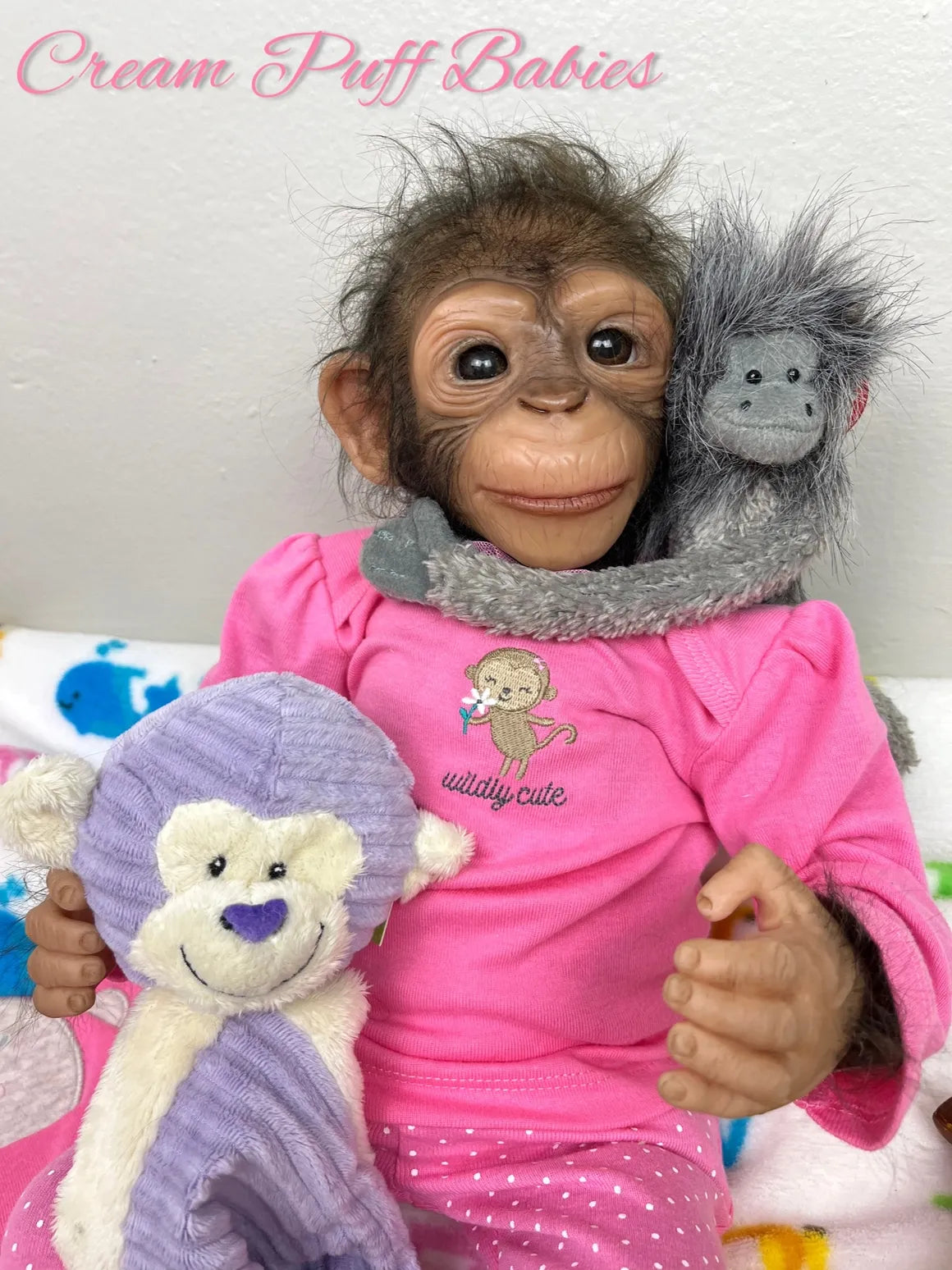 Baby Chimpanzee Bonnie