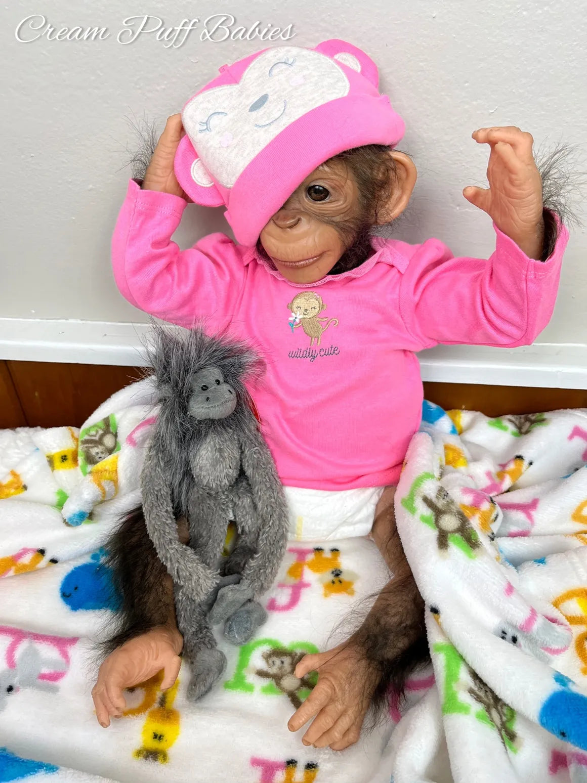 Baby Chimpanzee Bonnie
