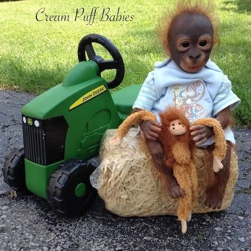 Baby Orangutan Rick