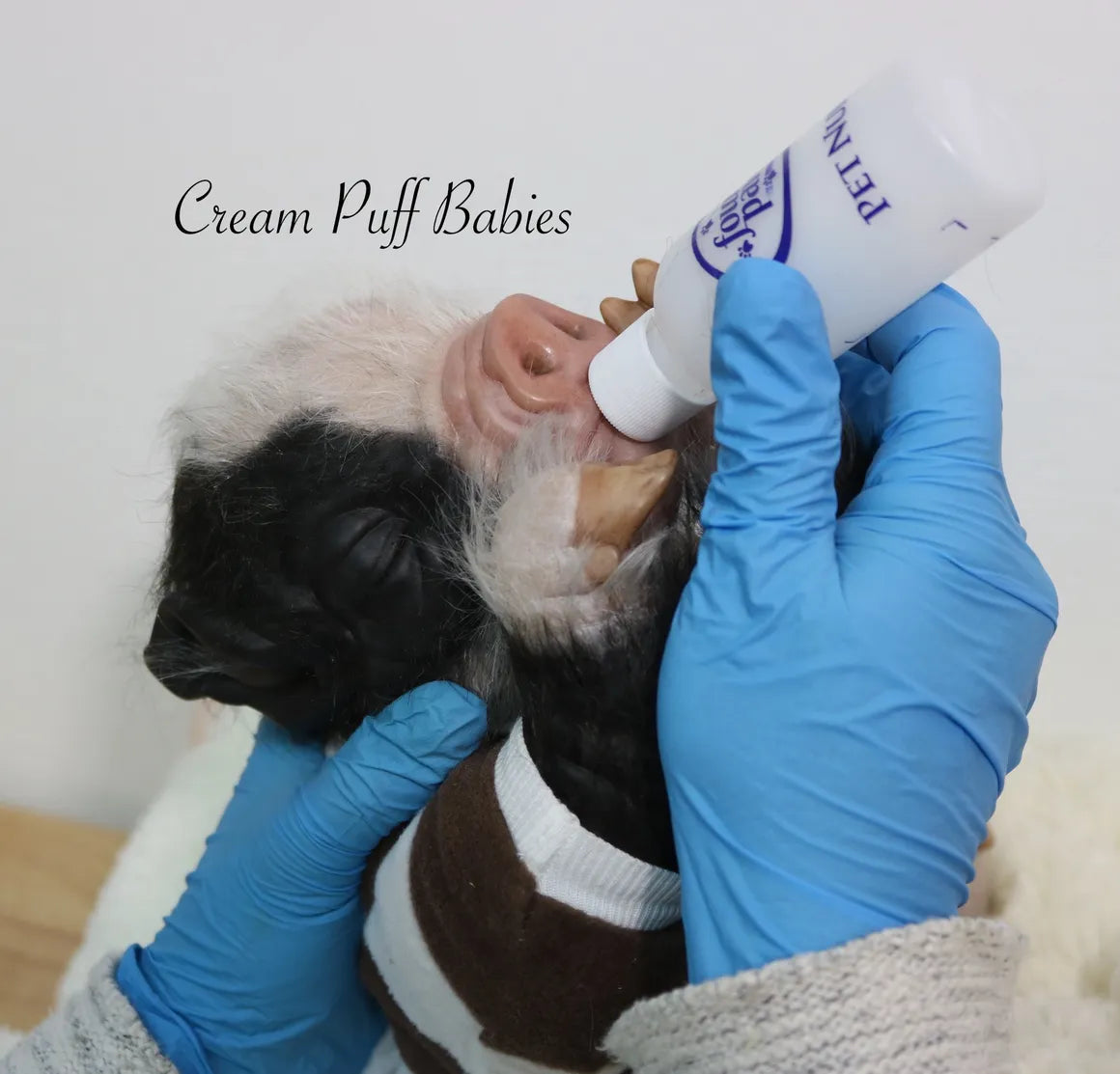 Baby Pig Peppa