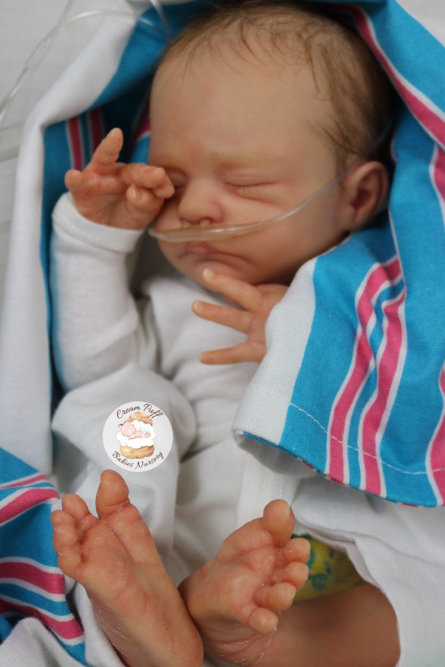 Baby Bam Bam