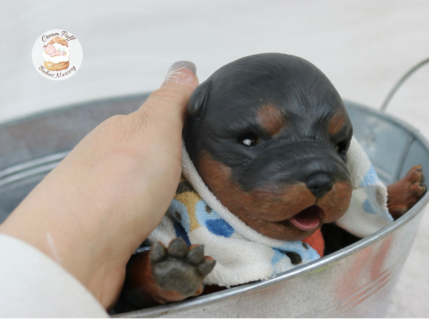 Adoptable Reborn Rottweiler / Doberman Puppy Dog Baby Doll