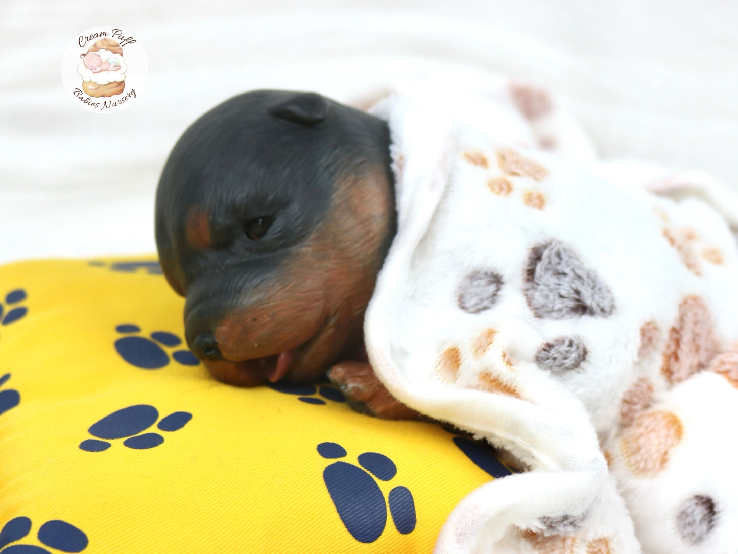 Adoptable Reborn Rottweiler / Doberman Puppy Dog Baby Doll