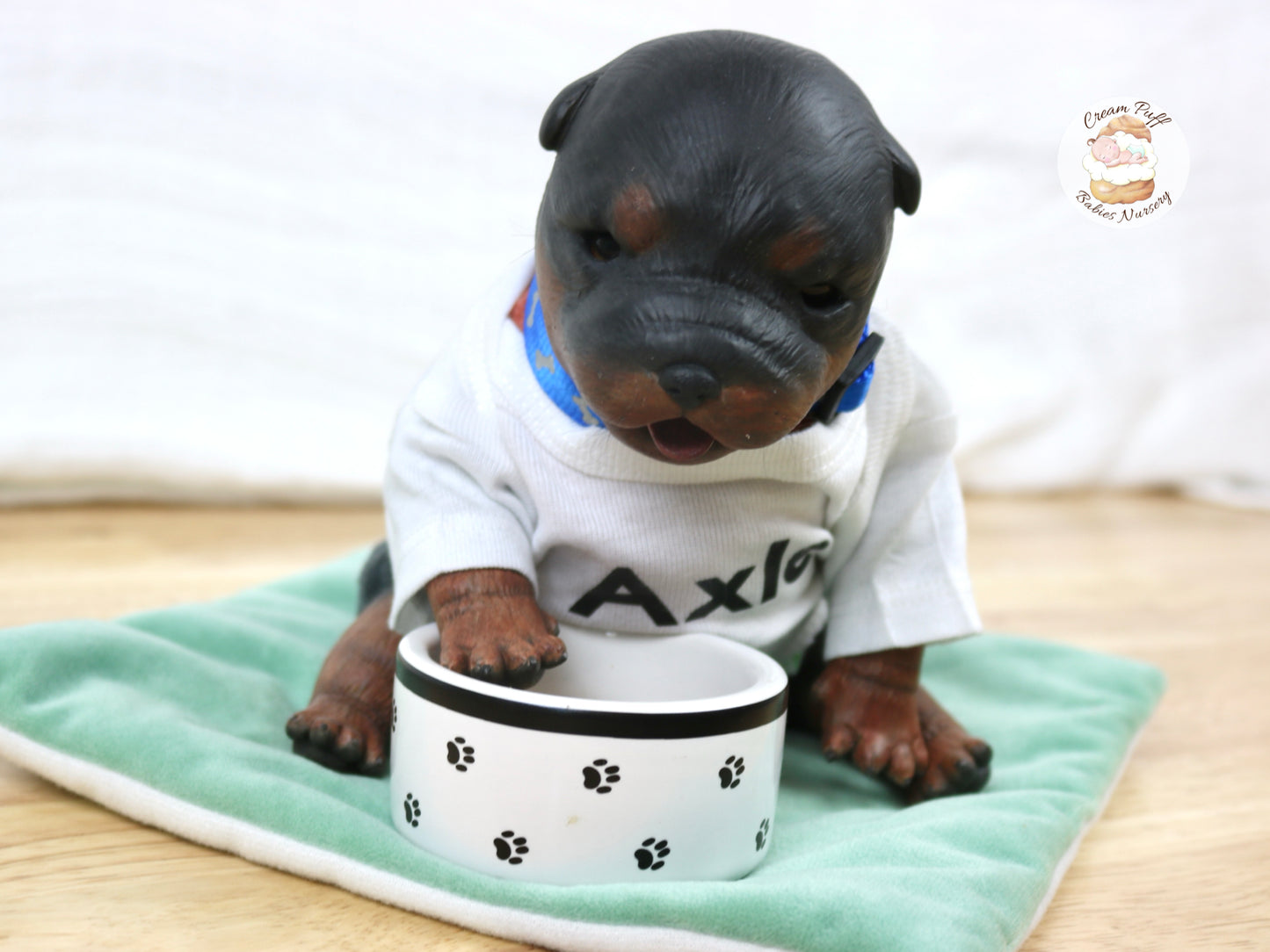 Adoptable Reborn Rottweiler / Doberman Puppy Dog Baby Doll