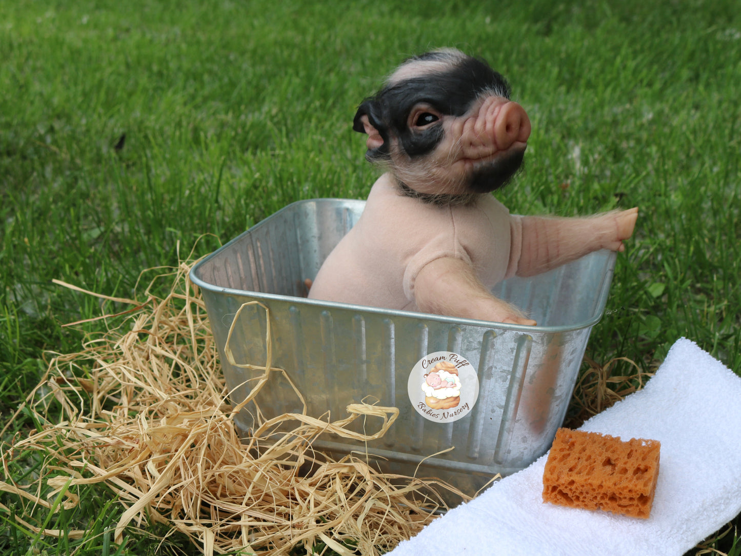Reborn Pig Doll