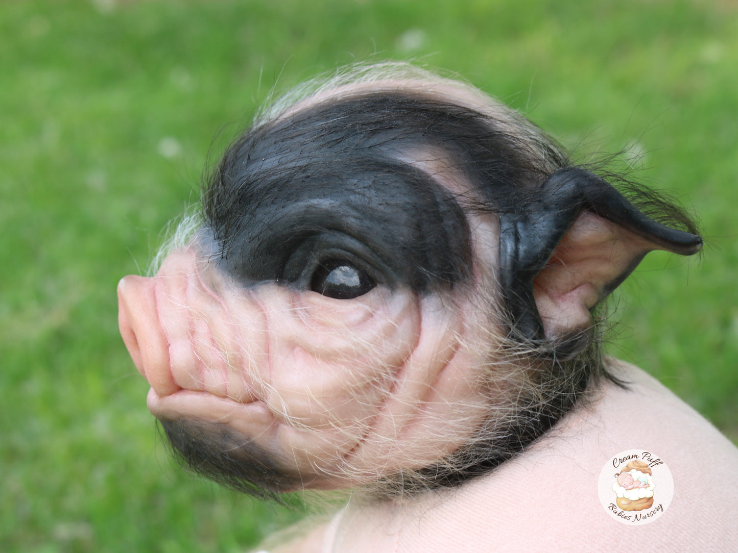Reborn Pig Doll
