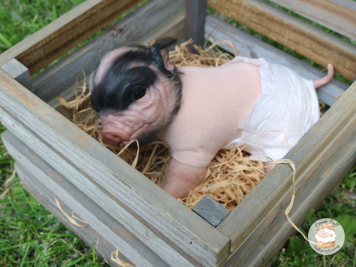 Reborn Pig Doll