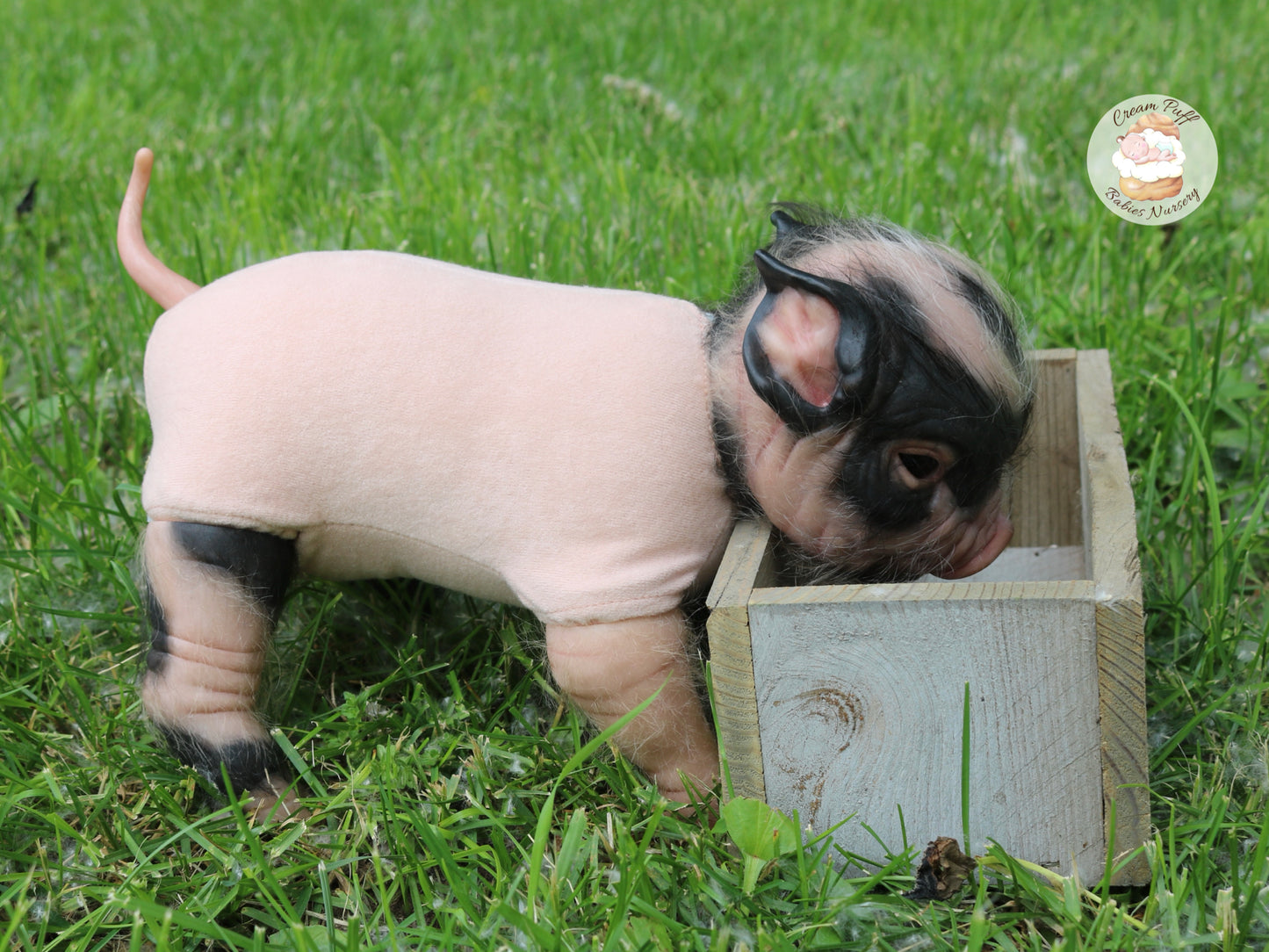 Reborn Pig Doll
