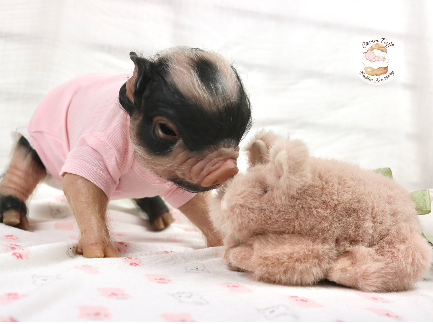 Reborn Pig Doll