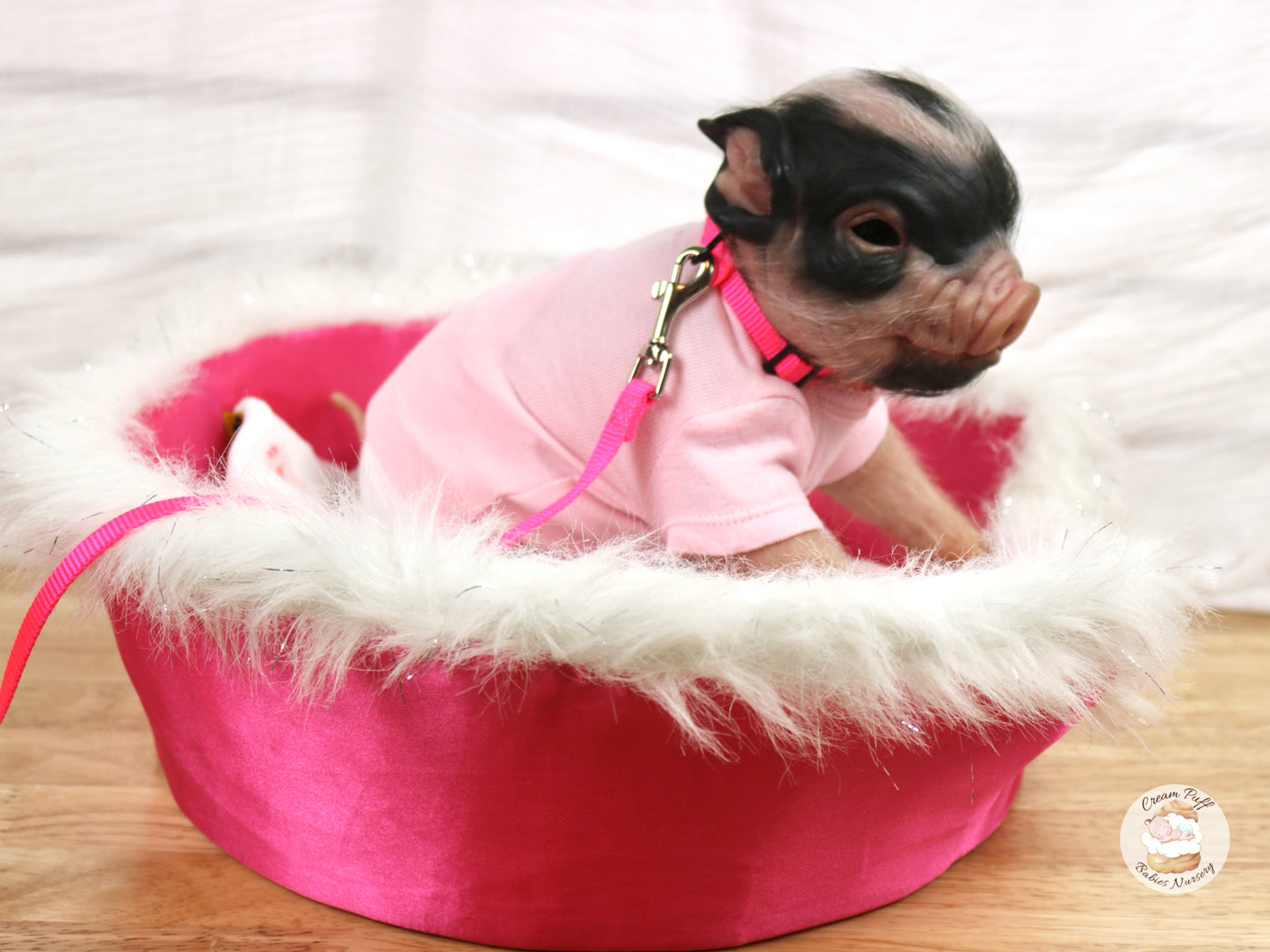 Reborn Pig Doll