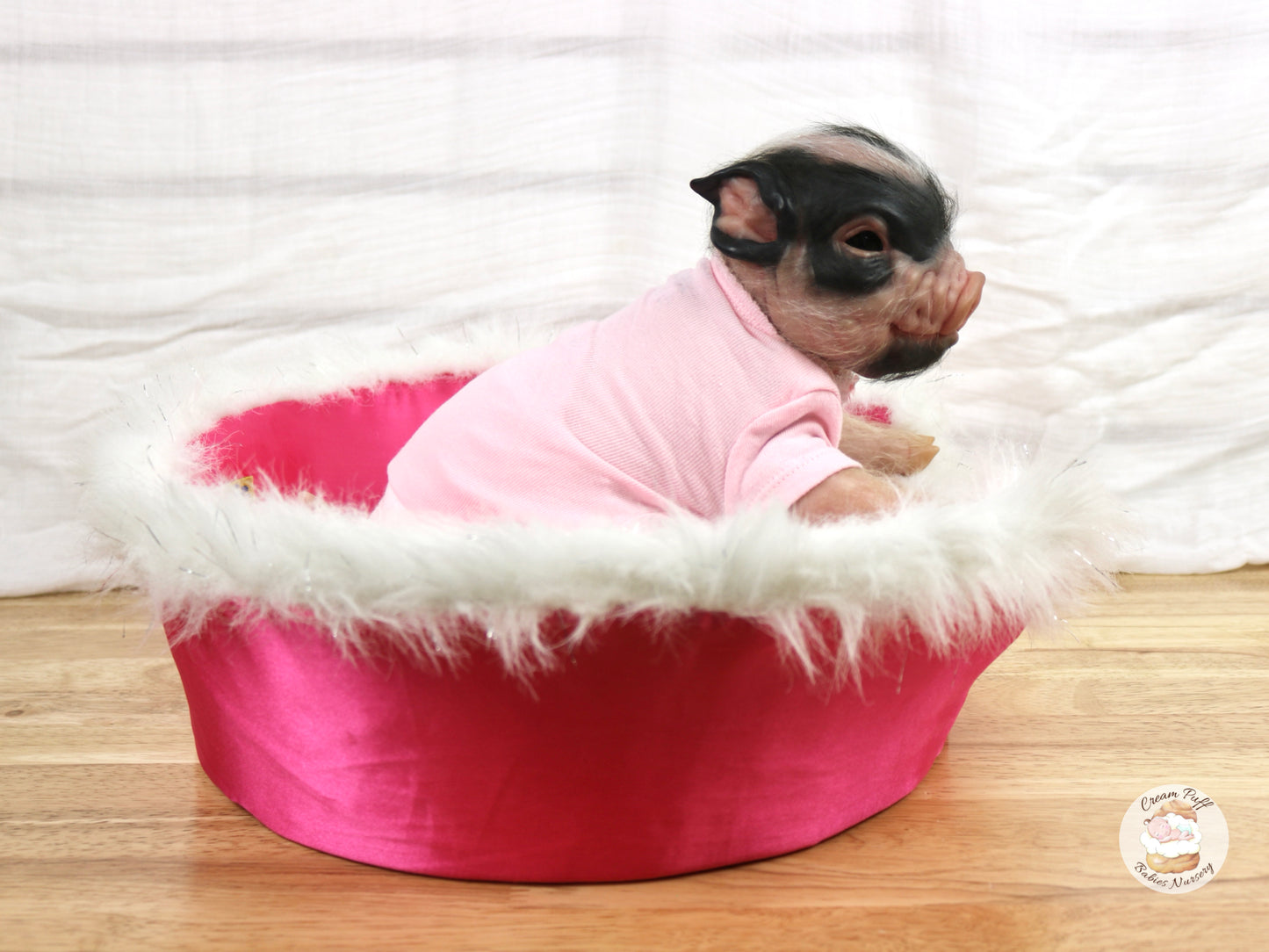 Reborn Pig Doll
