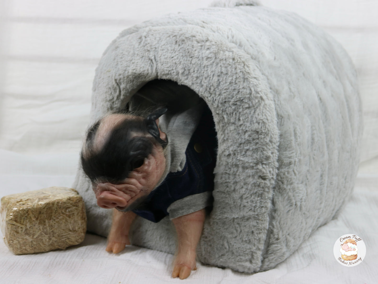 Reborn Pig Doll