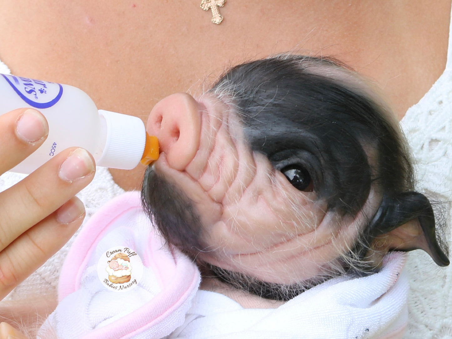 Reborn Pig Doll