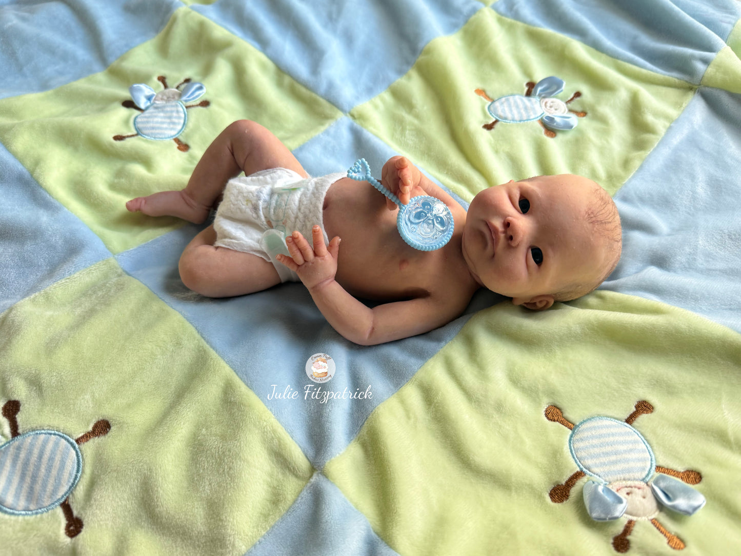 Full Body Silicone Baby Ethan