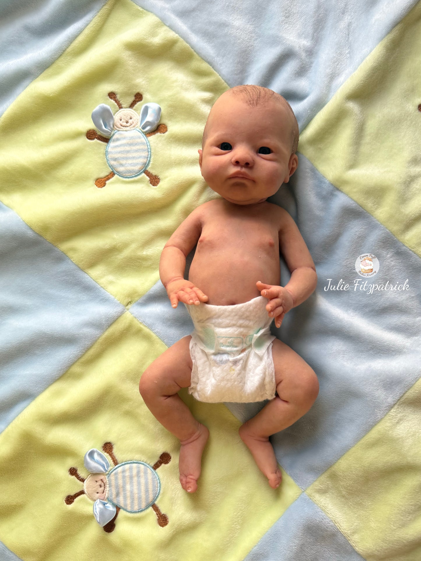 Full Body Silicone Baby Ethan