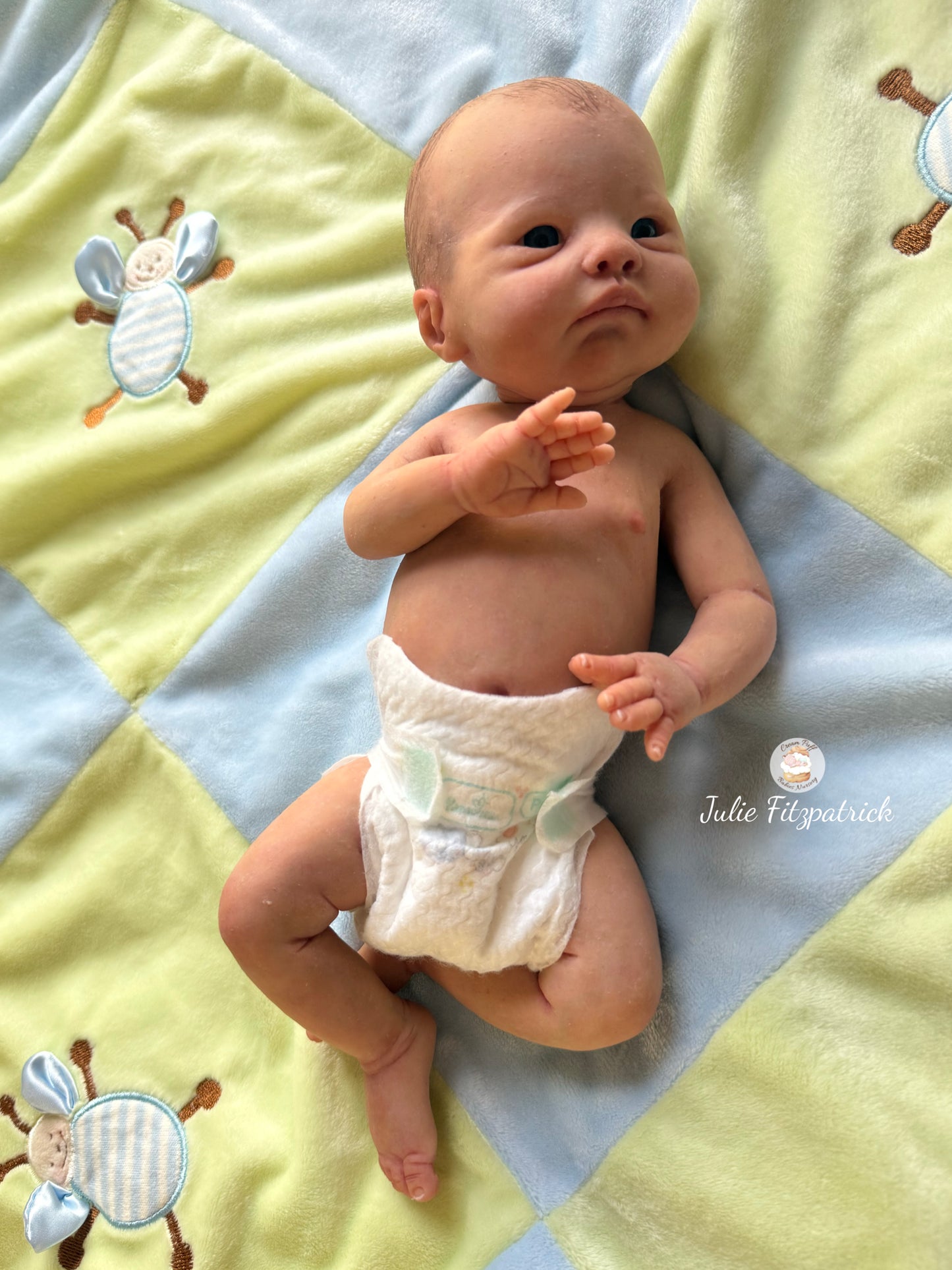 Full Body Silicone Baby Ethan