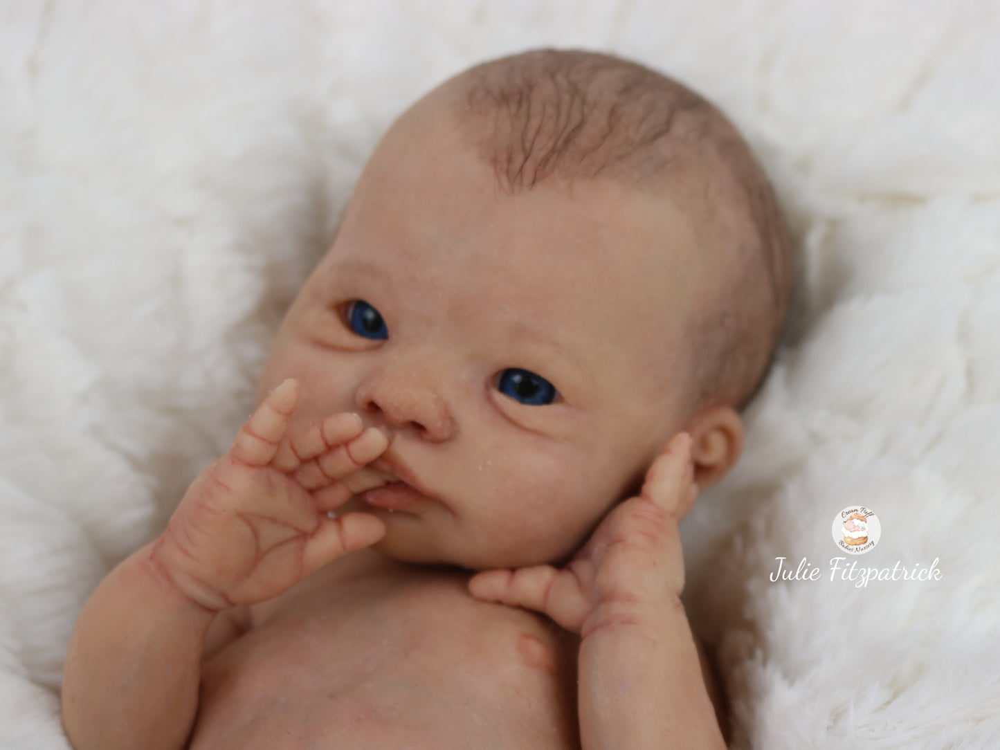 Full Body Silicone Baby Ethan