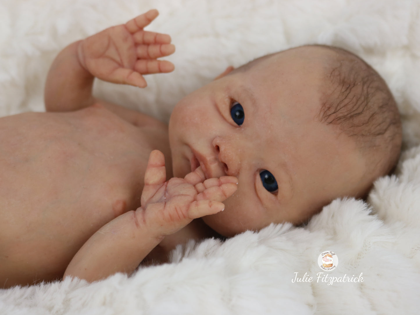 Full Body Silicone Baby Ethan